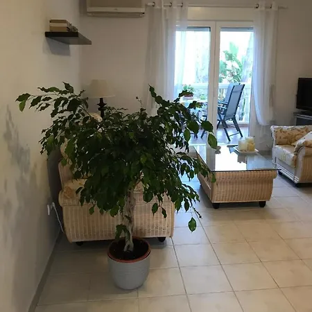 Apartment Casa